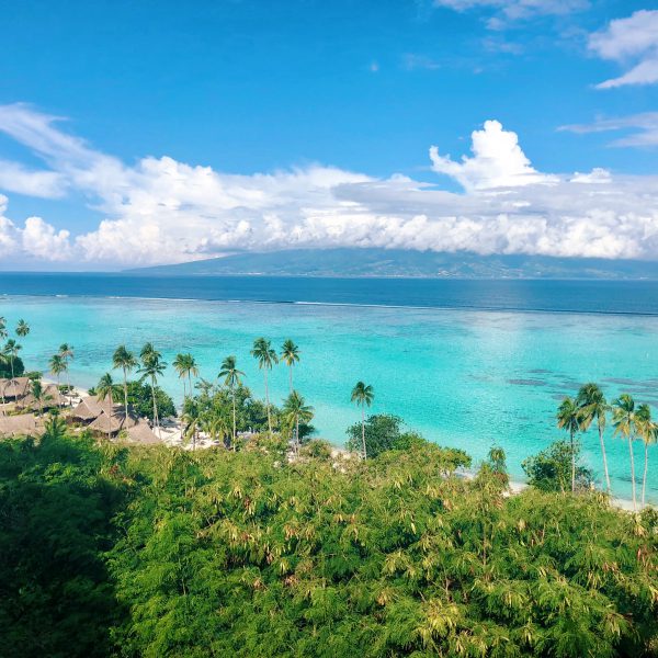  Le Tahiti by Pearl Resorts+ Sofitel Moorea Ia Ora Beach