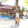 Sandos Playacar