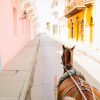 Según itinerario