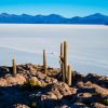 Según itinerario