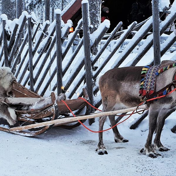 Scandic Rovaniemi City