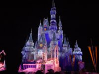 Disney’s Pop Century + Universal Endless Summer Resort – Surfside Inn + Riu Plaza Miami